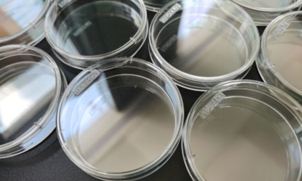 Low surface free energy cell culture dish